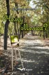 Чому Меліса?