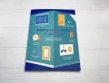 Чого не вчать у школі. Відповіді на найважливіші питання в інфографіці - зображення 7