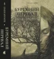 Буремний перевал