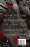 Плоть і вогонь. Книга 1: Тінь у жариві - зображення 3