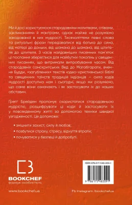 Задня сторона