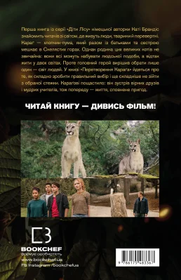 Задня сторона