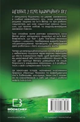 Задня сторона