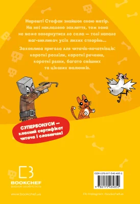 Задня сторона