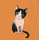 Collect the rainbow. Pets - image Collect the rainbow. Pets