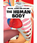 The human body