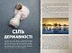 Смачні пригоди - image Смачні пригоди