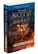 Книга Коти вояки. Вогонь і крига