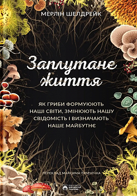 Книга Заплутане життя