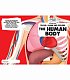 The human body - image The human body