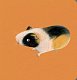 Collect the rainbow. Pets - image Collect the rainbow. Pets