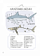 Анатомія океану. Неймовірні місця та частини світу, сховані під водою - image Анатомія океану. Неймовірні місця та частини світу, сховані під водою