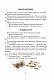 Квітка сонця - image Квітка сонця