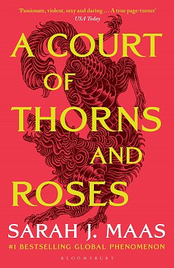 A Court of Thorns and Roses інтернет магазин BookChef Книга A Court of Thorns and Roses